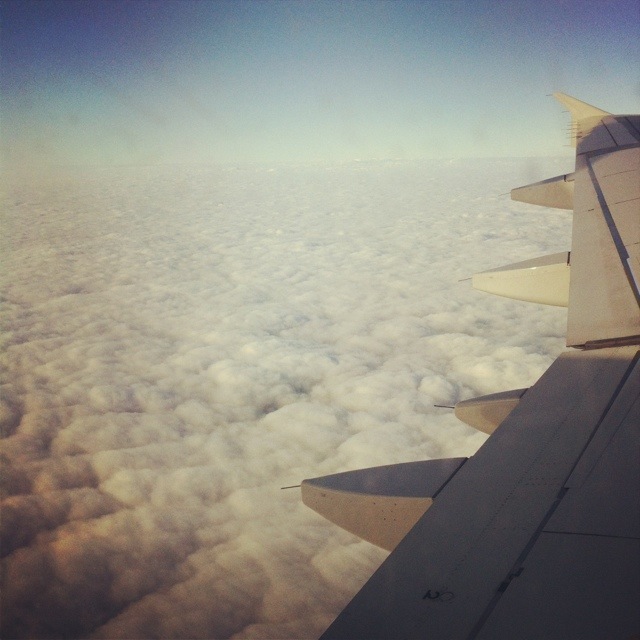 20120130-235809.jpg