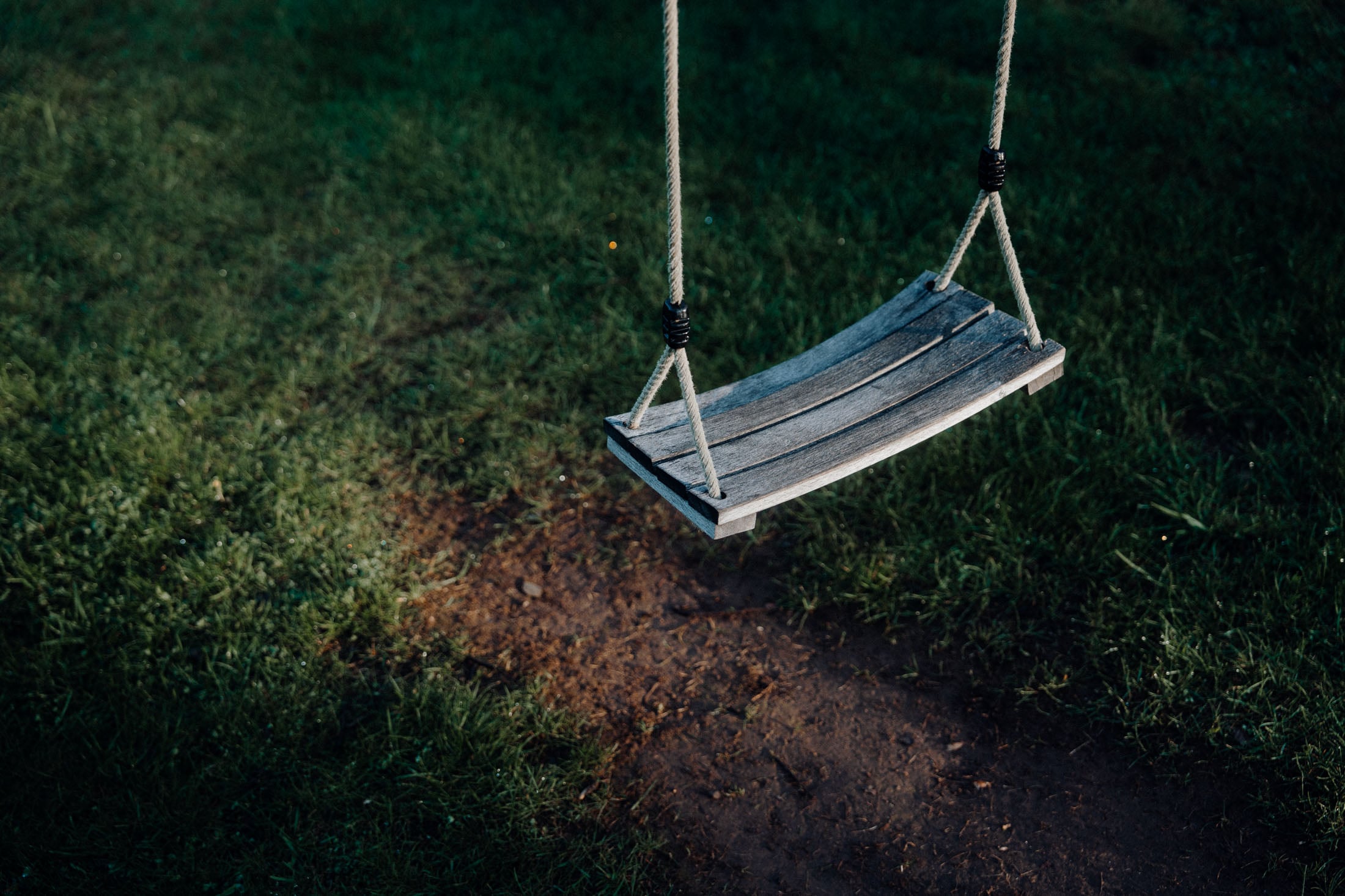 A wooden swing hanging from ropes, positioned over grassy ground.