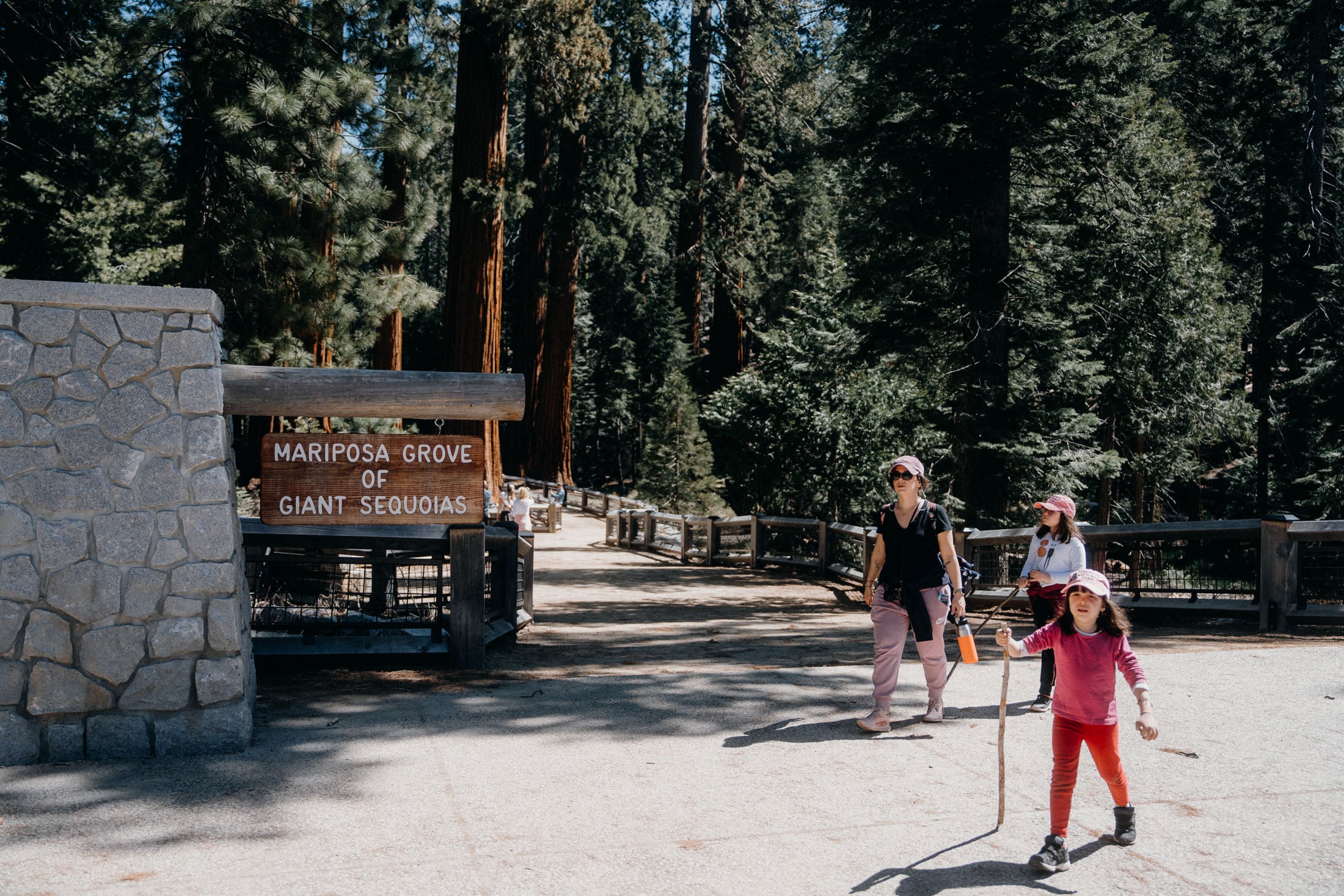 A family walking through the Mariposa Grove of Giant Sequoias, with a sign indicating the location. The scene includes tall trees and a path.