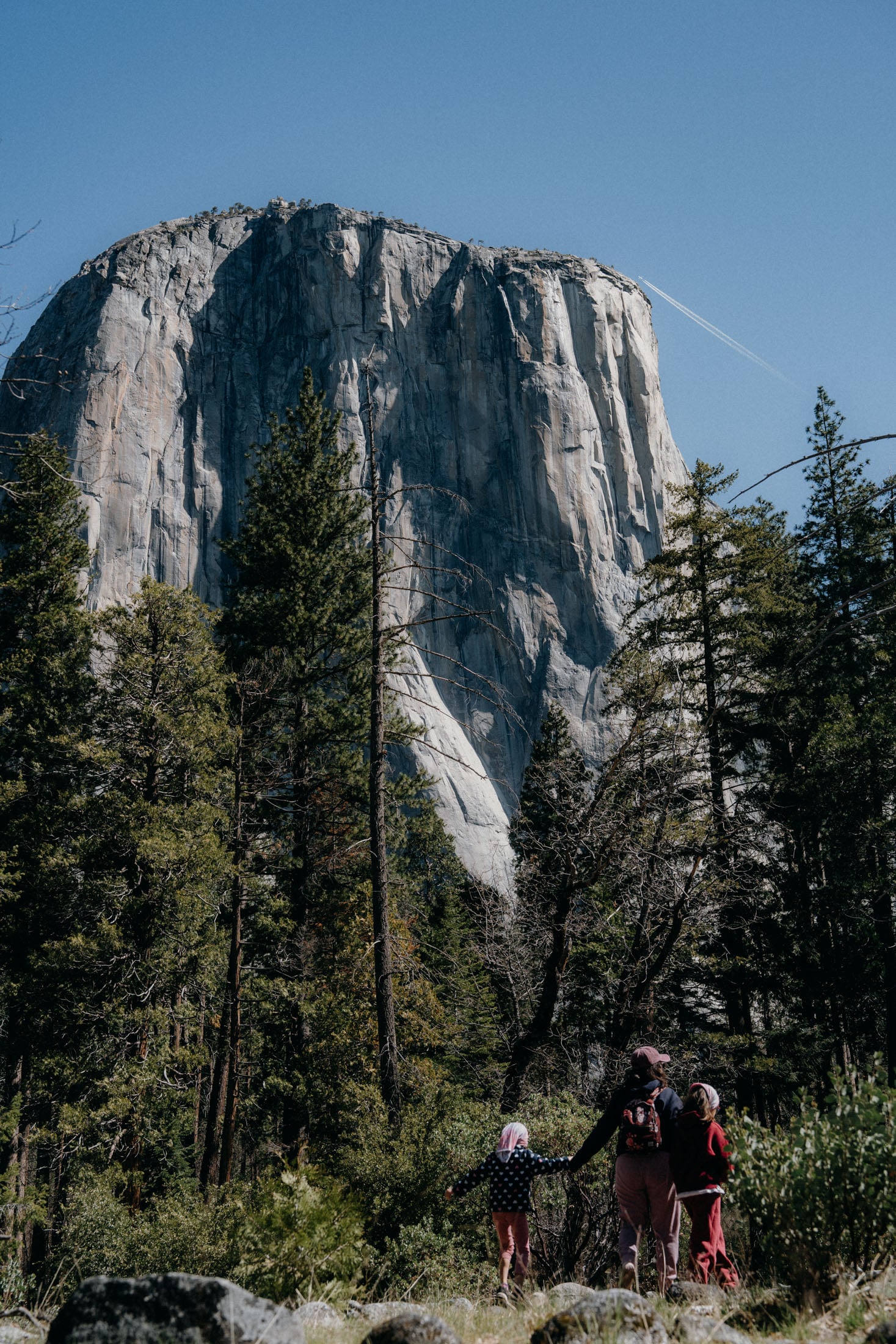A family exploring Yosemite National Park, with a towering granite cliff in the background and lush forest surroundings.