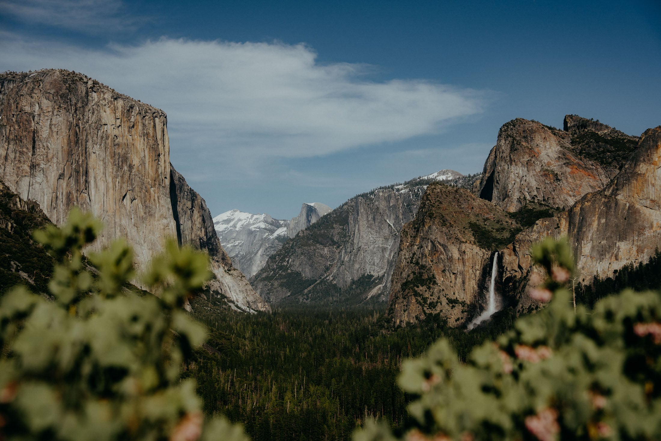 A scenic view of Yosemite National Park featuring towering cliffs and mountains under a blue sky with scattered clouds. In the foreground, there are green bushes, and a waterfall can be seen cascading down one of the cliffs.
