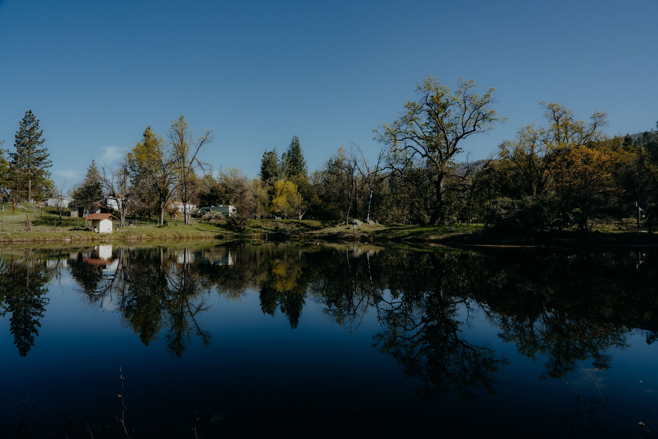 A tranquil lakeside scene featuring lush green trees and a small white building, with clear reflections visible in the calm water under a bright blue sky.