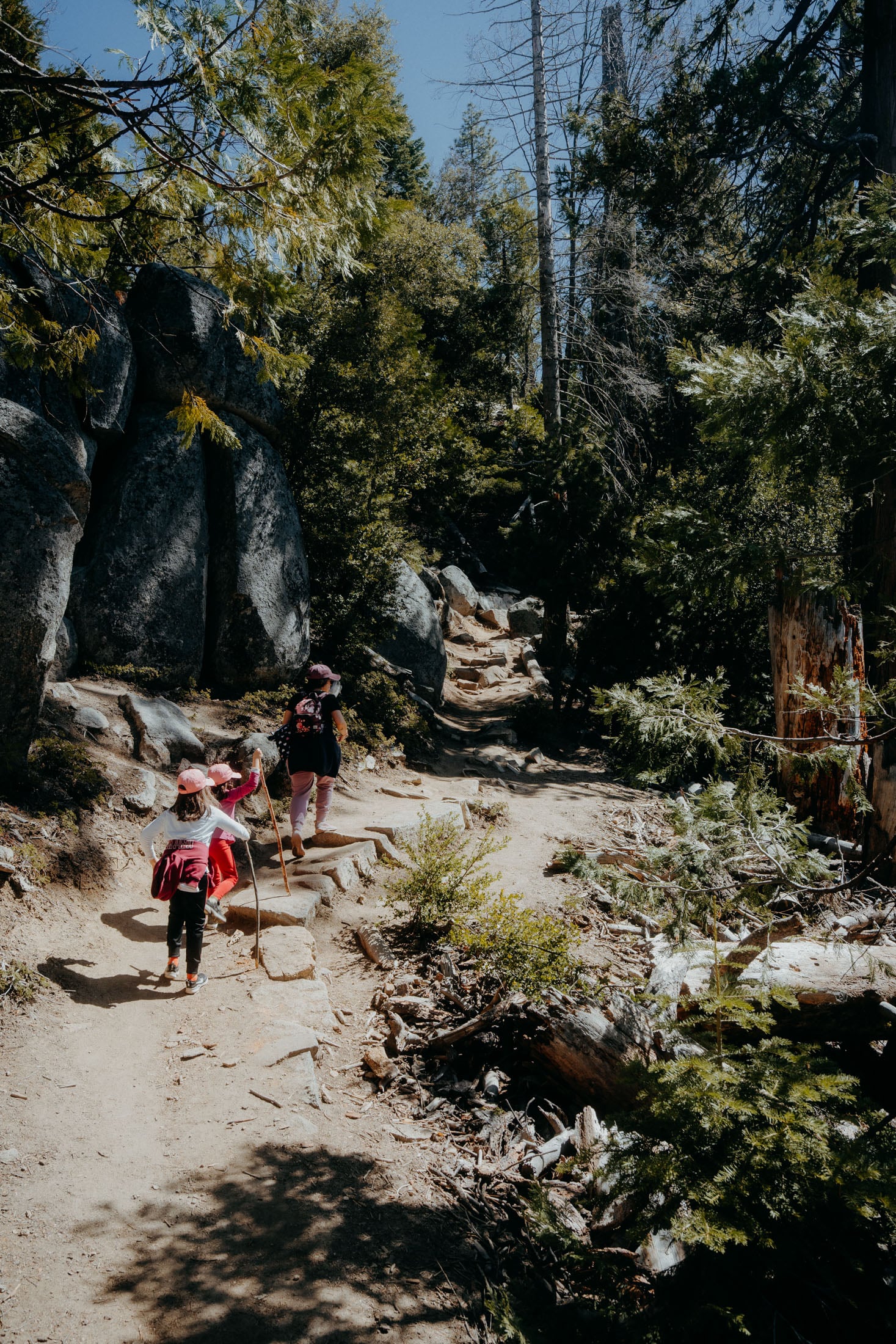 Two children and an adult walking on a rocky hiking trail surrounded by trees and greenery on a sunny day.