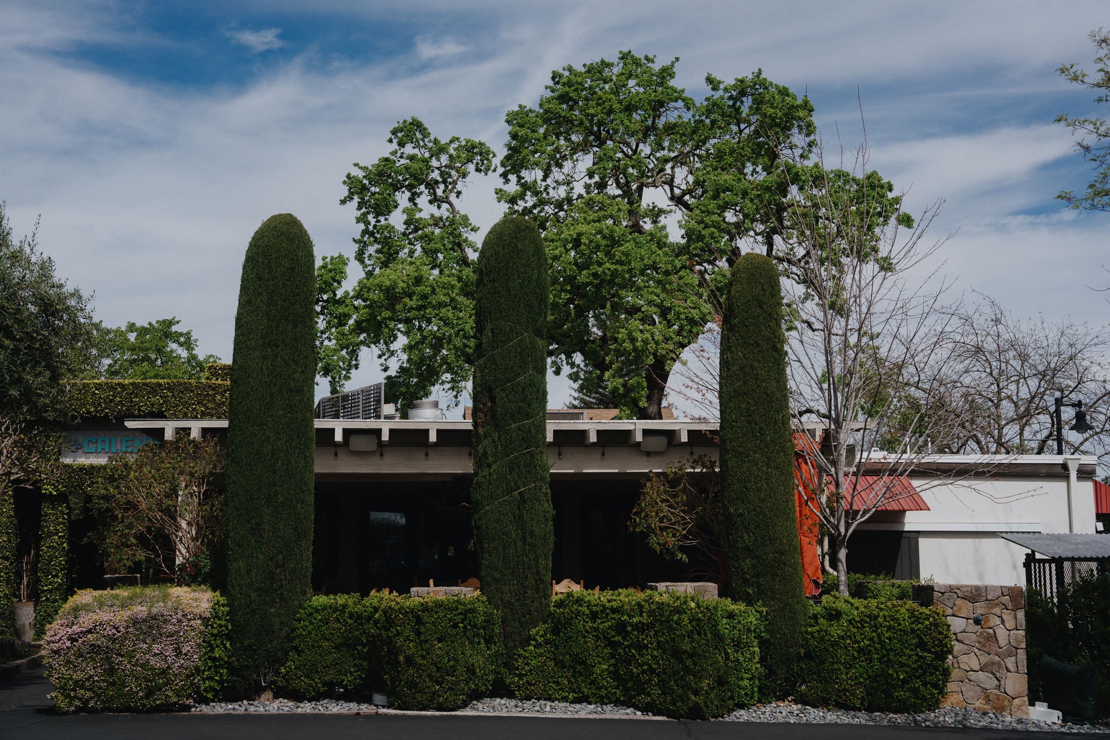 Exterior view of a restaurant with tall, manicured evergreens and a bright blue sky in the background.