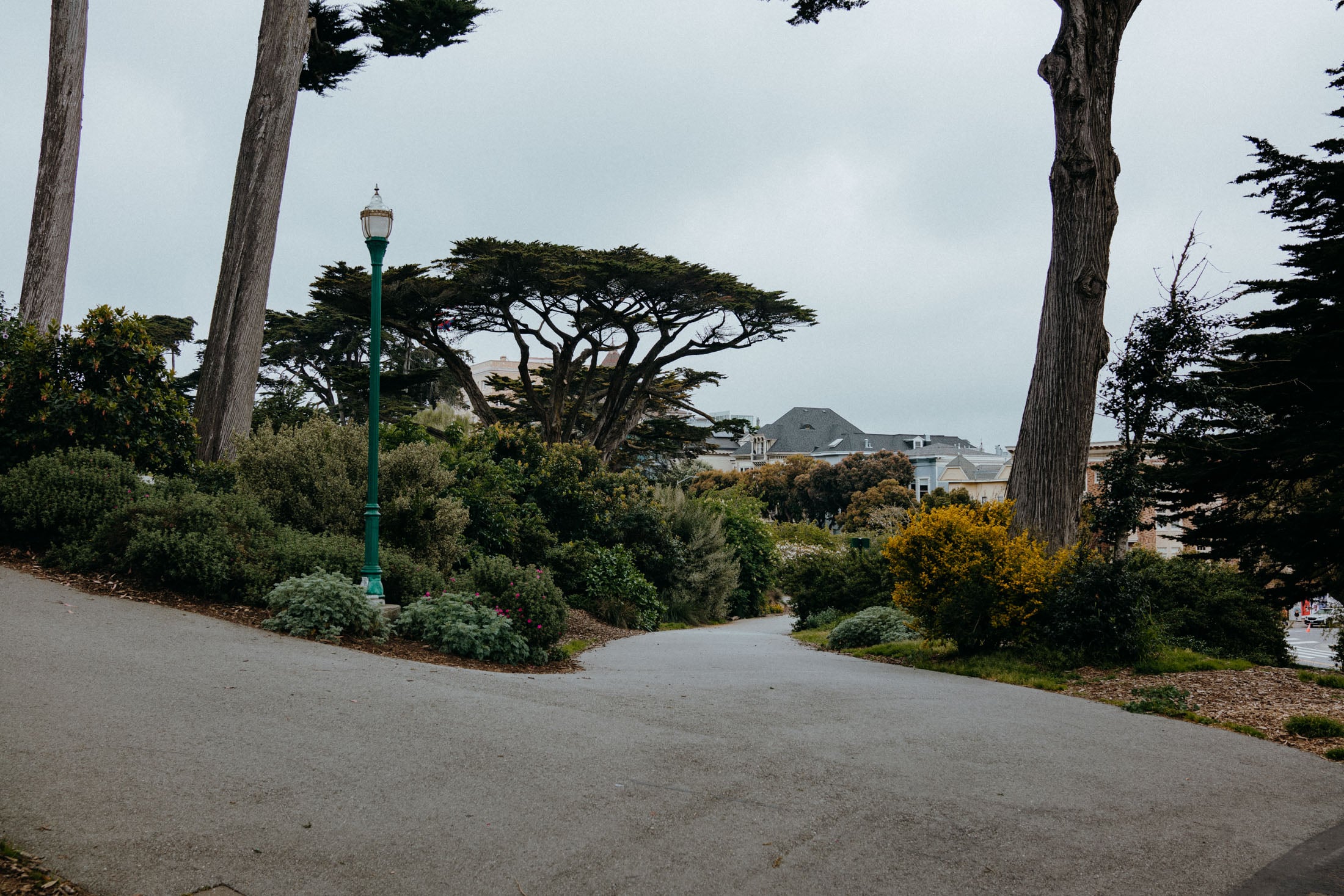Pathway winding through a lush park with tall trees and green shrubs, a streetlamp visible on the left.