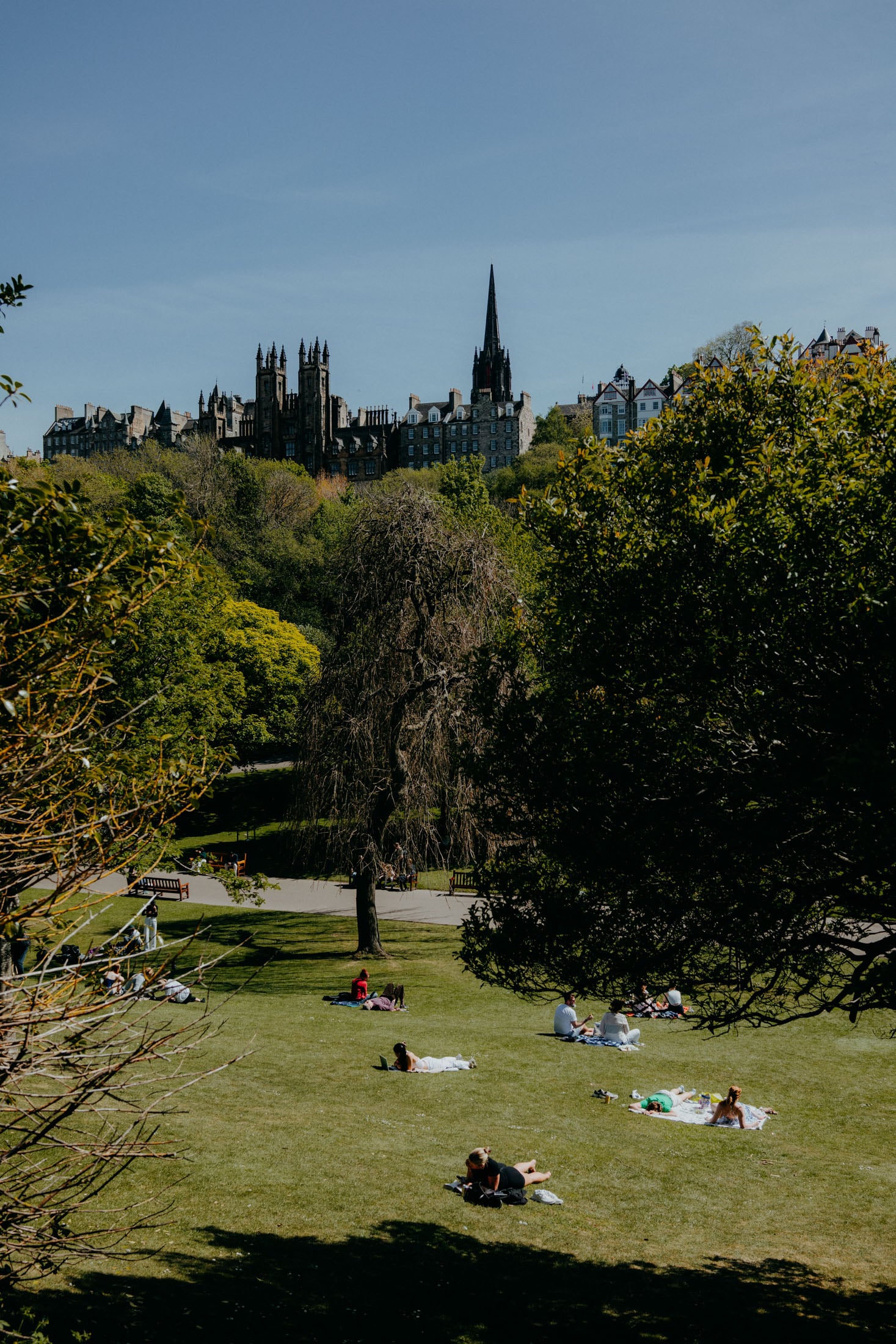 A sunny park scene with people lounging on the grass, enjoying the outdoors, and historic buildings visible in the background.