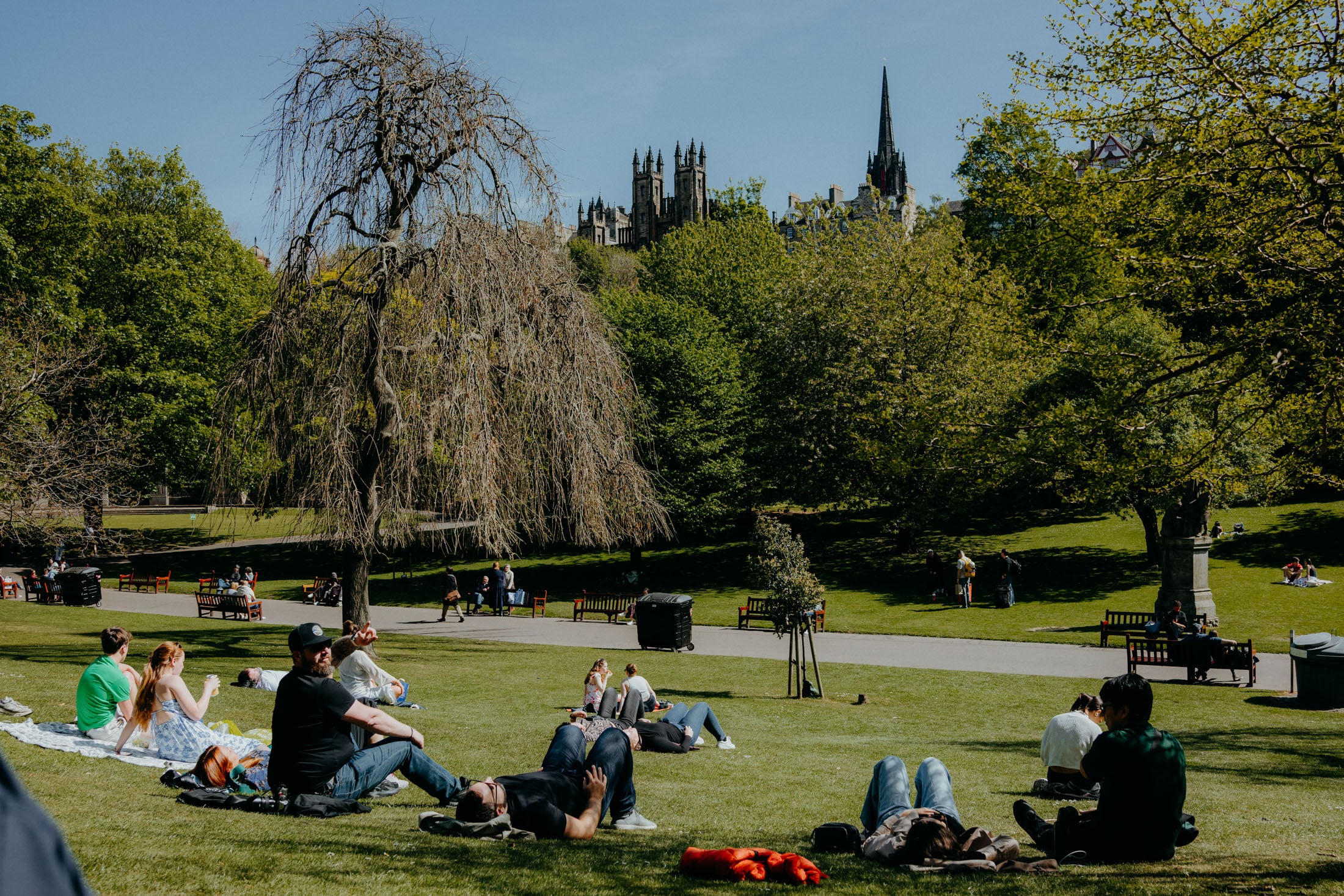A sunny park scene with people relaxing on the grass, some lying down and others sitting, surrounded by greenery and trees, with buildings in the background.