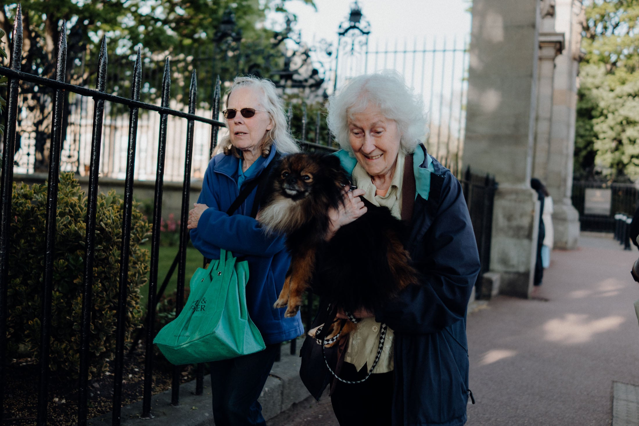 Two elderly women walking alongside a fence, one is holding a small dog, and both appear to be engaged in conversation.