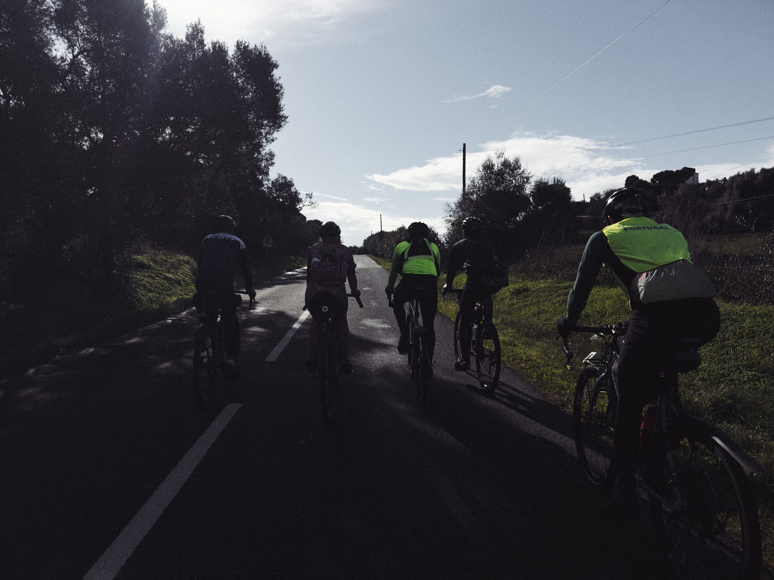 Group of cyclists riding together on a scenic road, surrounded by greenery and under a bright sky.