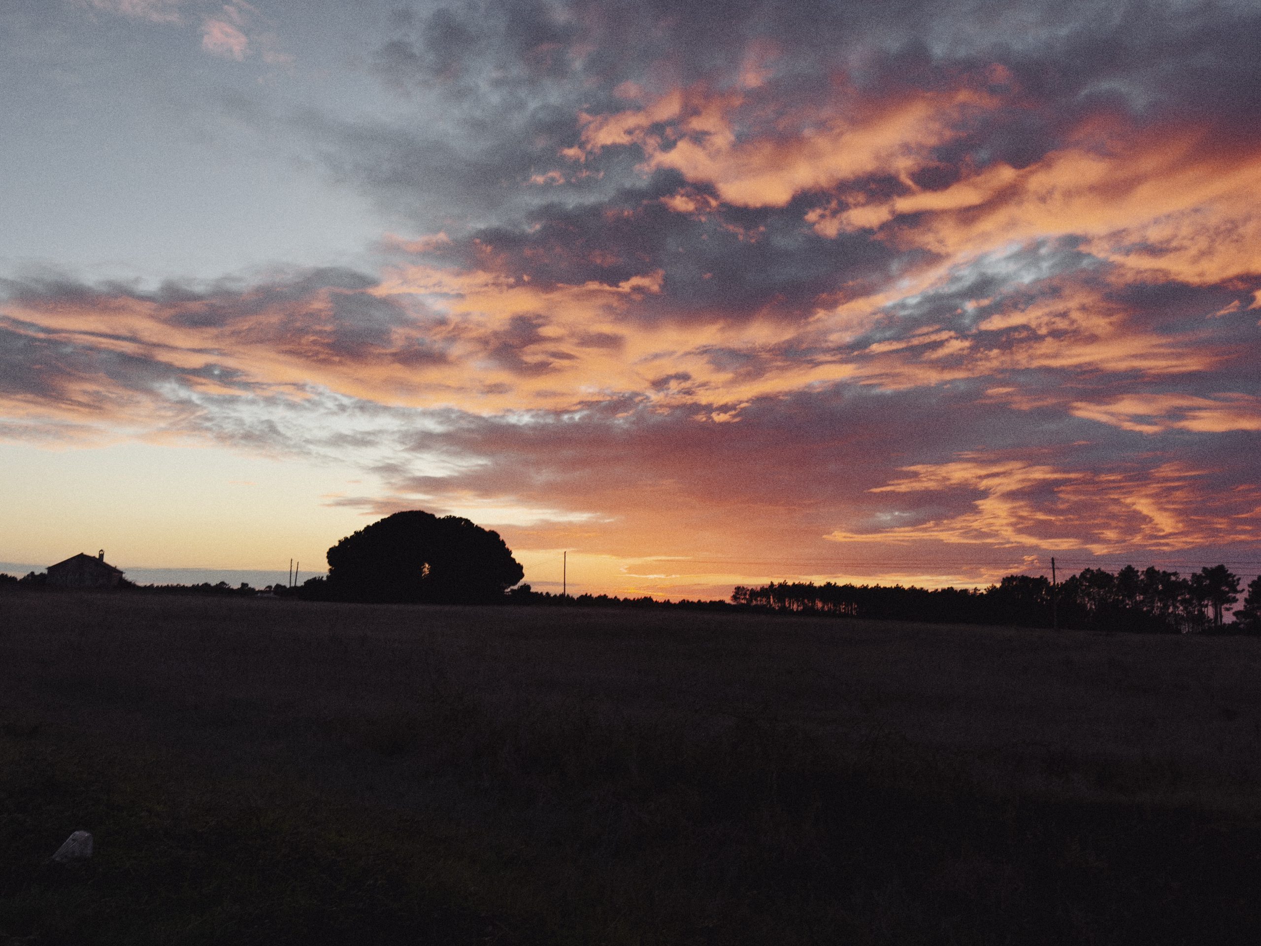 A beautiful sunset over a field with silhouetted trees and a distant house, featuring vibrant colors in the sky.
