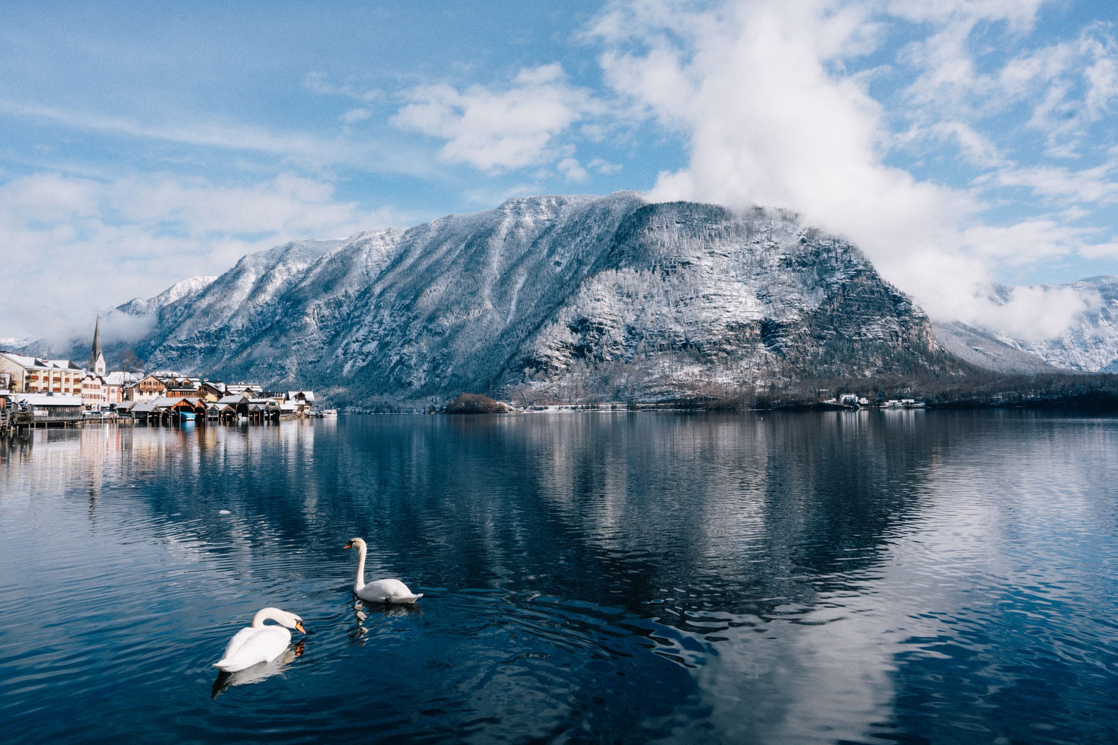 A serene winter landscape featuring two swans swimming in a crystal-clear lake, surrounded by snow-capped mountains and a quaint village reflecting on the water.